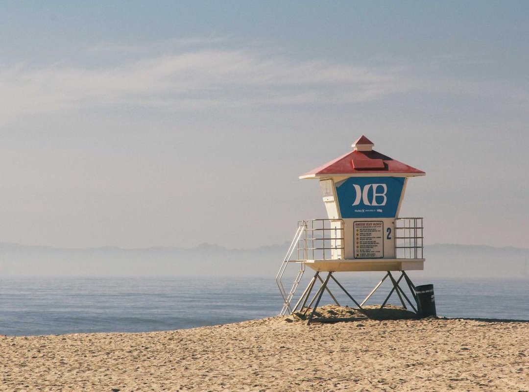 Comparing the Experience: Torrents vs. Official Streaming