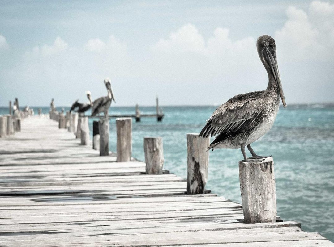 The Intended Purpose: When Aquarius Can Be Beneficial