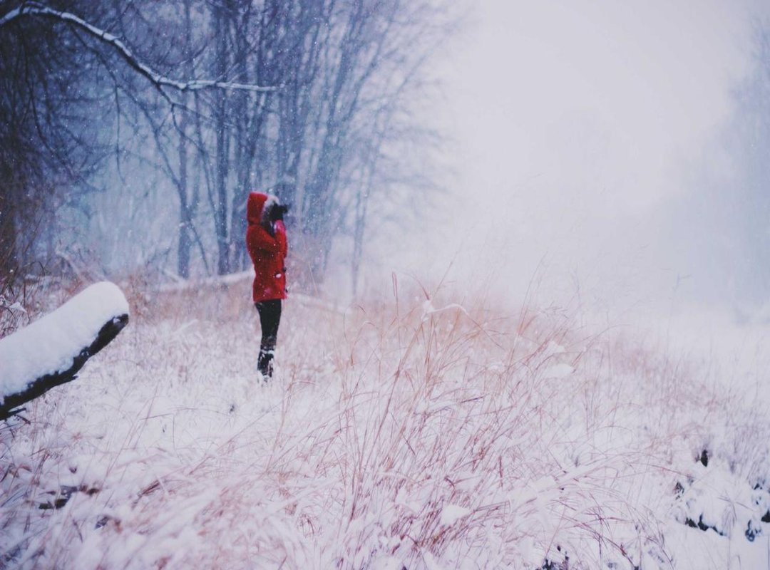 Catching Up: A Quick Recap of the 'Two Blue Vortex' Arc