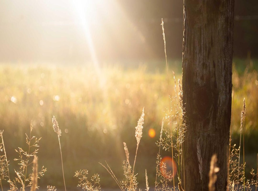 Step-by-Step Guide: How to Install Higgs Domino v1.78