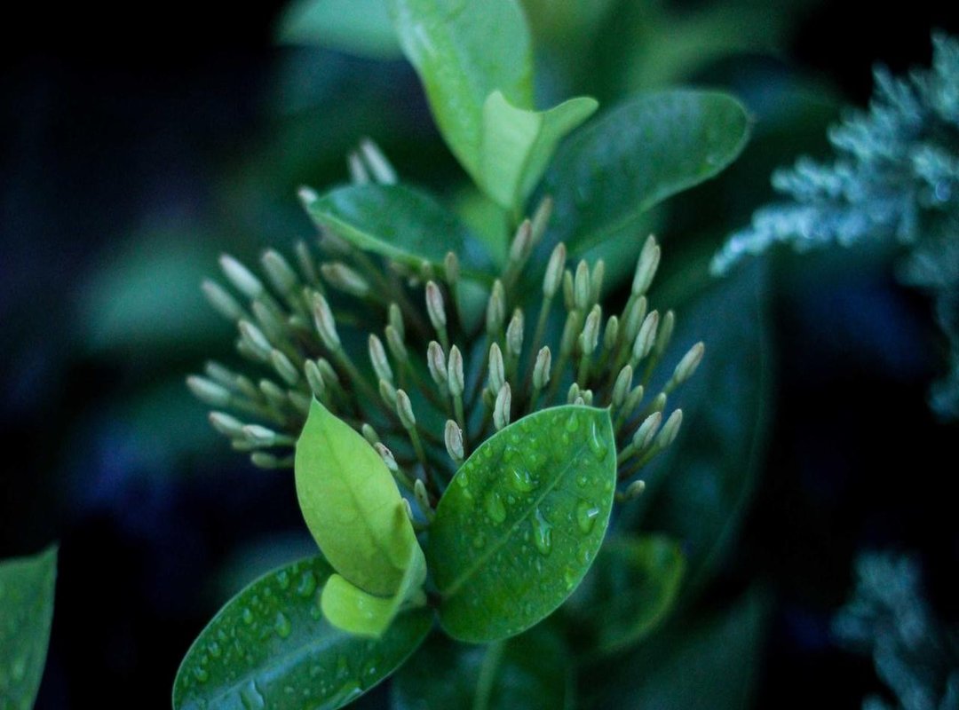 Exploring Your Dashboard: Key Features After You Log In