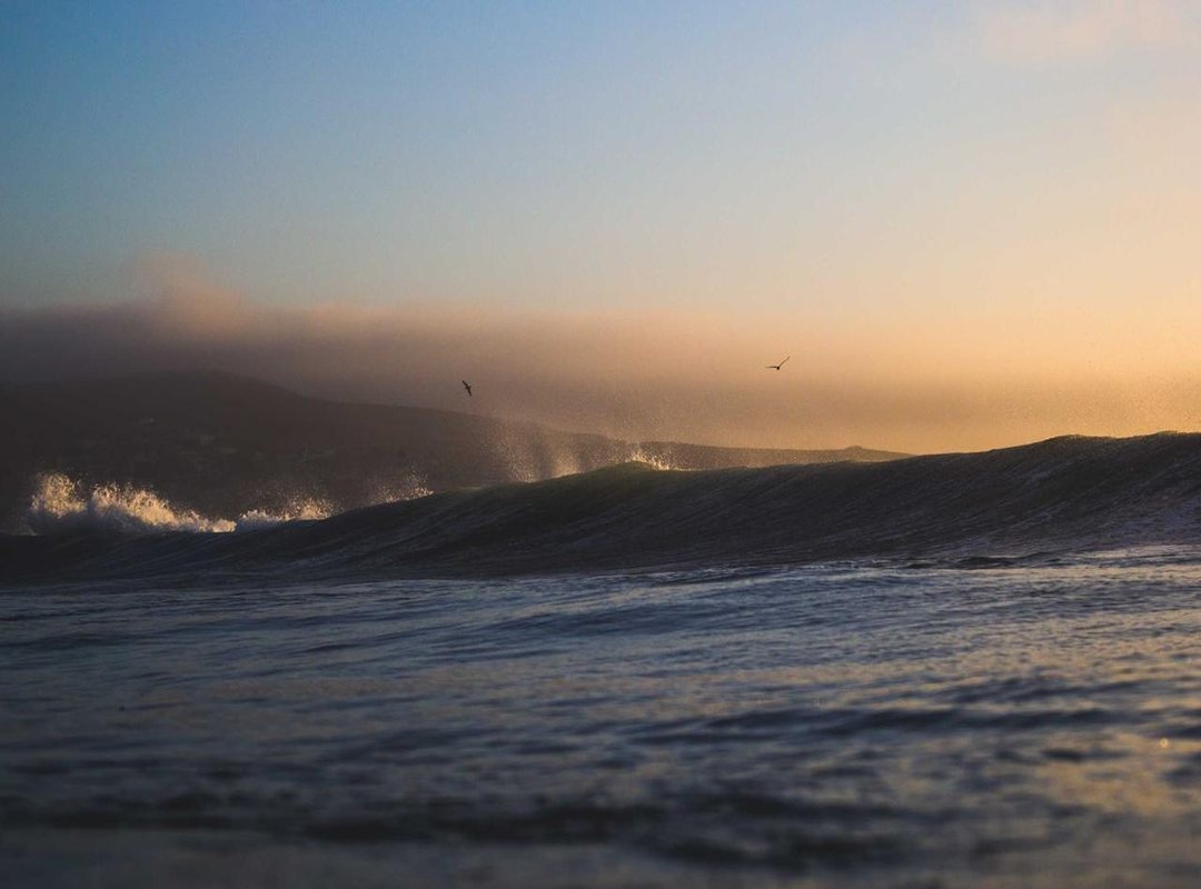 Act III: The Deception at the Royal Ball