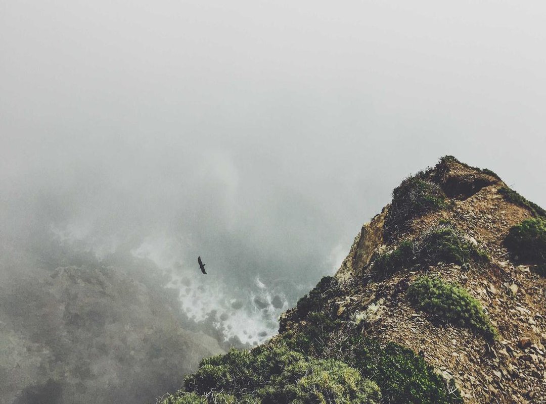 Understanding YTS Releases: Quality and File Details